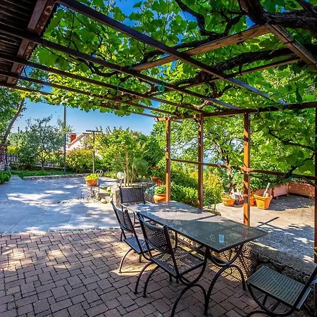 Korina * كوسترينا