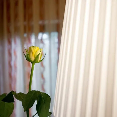 Apartment Korina Kostrena
